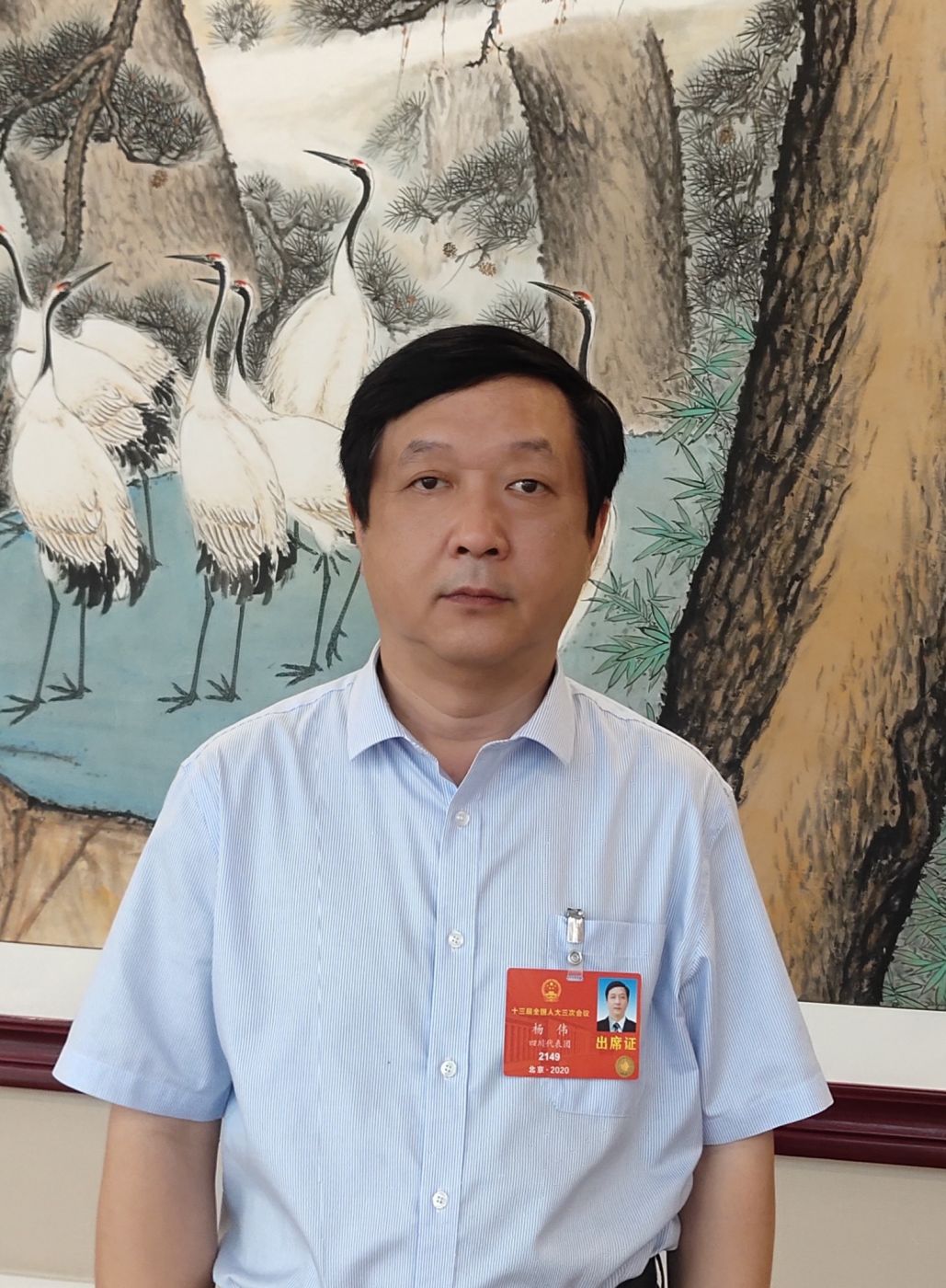 2.全国人大代表、中国科学院院士、开云游戏_开云（中国）副总经理杨伟